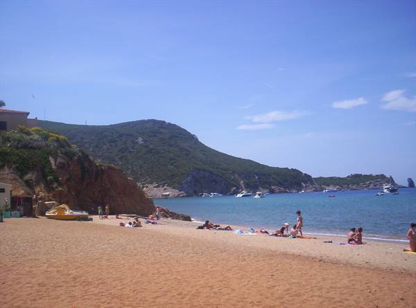 Giglio Campese