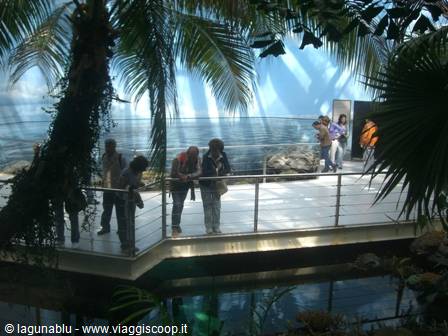 Visitors on walkway above the pool, palm trees, Genoa Aquarium