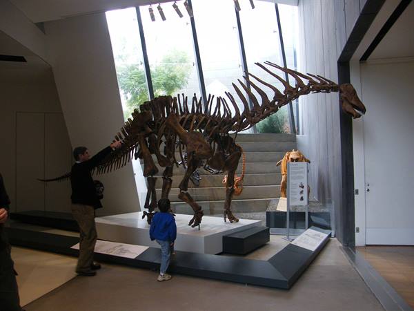 Museum of Melbourne