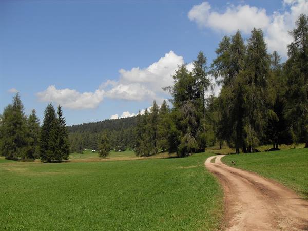 the Regole of Malosco