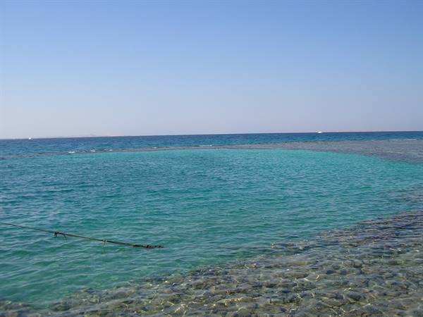 Hotel Hilton reef