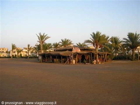Bedouin tent on the beach