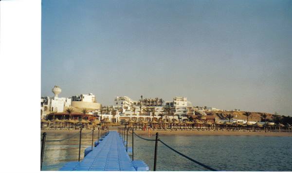 Coral Beach