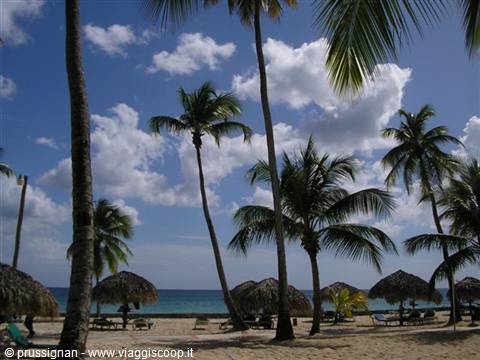 Beach with palm trees and straw umbrellas on white sand, turquoise sea