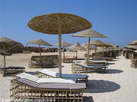 sun loungers at Abu Dabbab