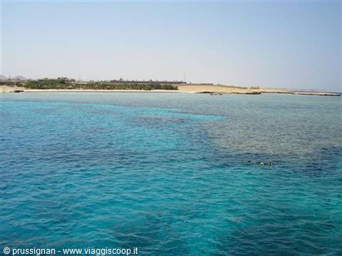 the spectacle of the coral reef