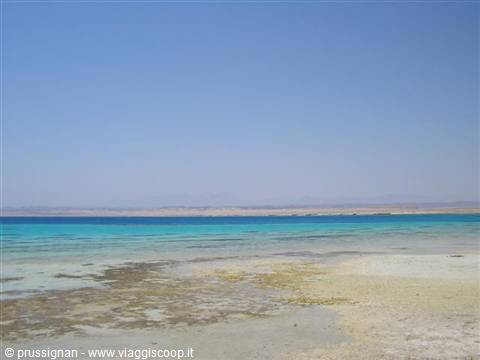blue at Sharm el Loli