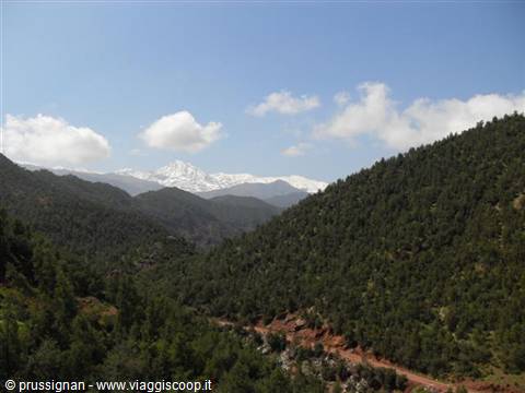 the Ourika valley, with the Atlas in the background