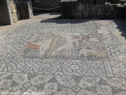 mosaics in Volubilis