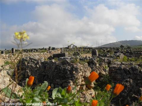 archaeology among the flowers