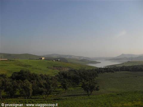 green landscape in Morocco