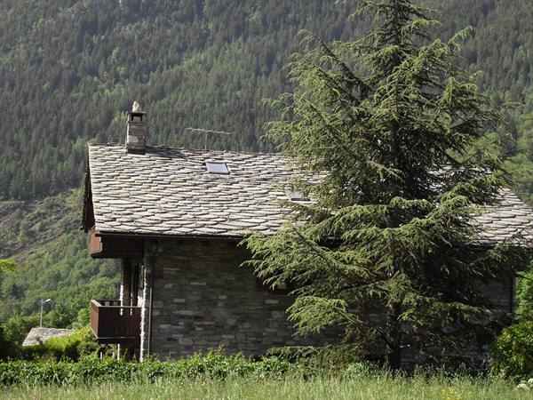 house with the roof covered with 'lose'