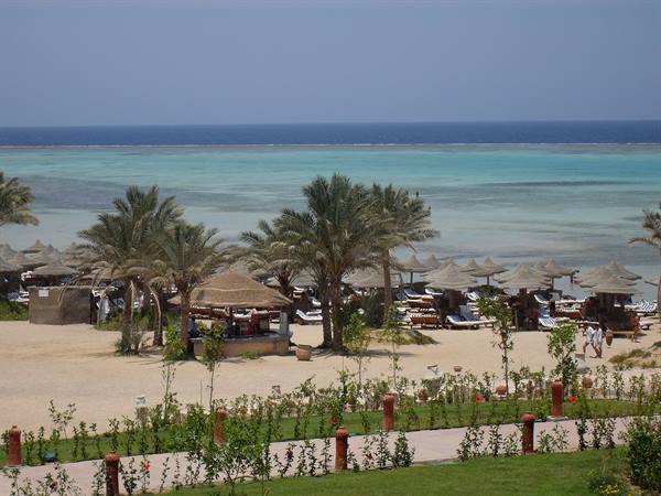 Beach with straw umbrellas, palm trees and sun loungers by the turquoise sea