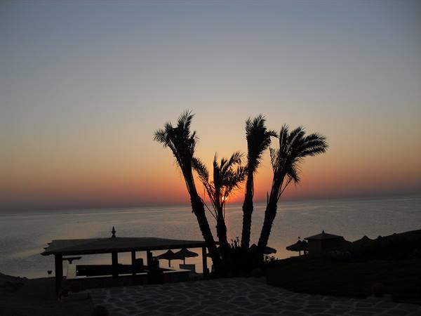 Palm silhouettes over the Red Sea, umbrellas and kiosks on the terrace