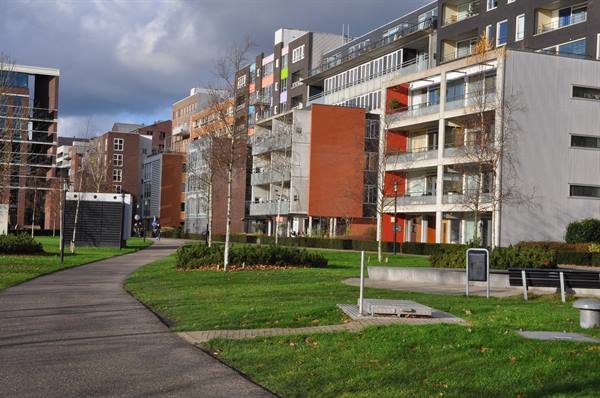 Grassy path among modern apartment buildings with balconies, cloudy sky