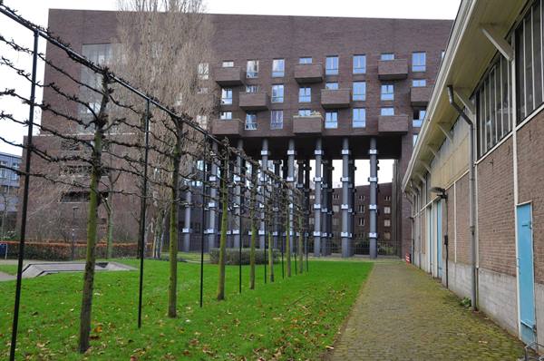 Pollarded trees along brick path in front of a brick building on concrete pillars