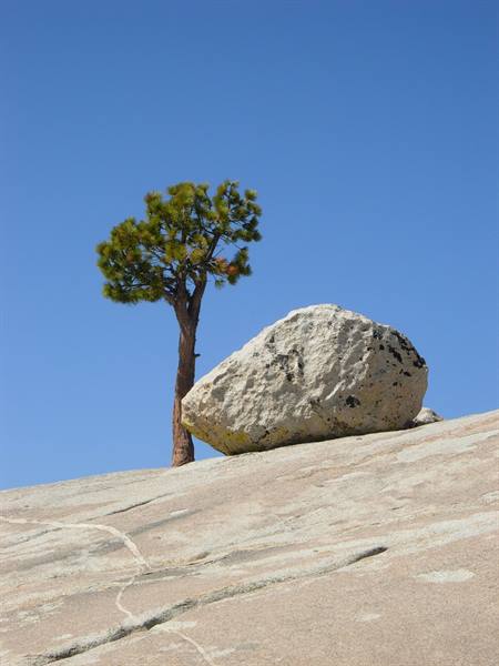 Along the Tioga Pass Road - Yosemite National Park 