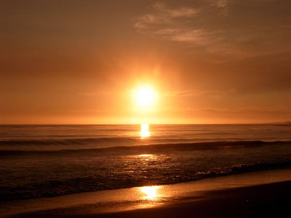 Along Hwy 1