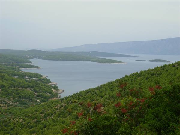 towards Sucuraj