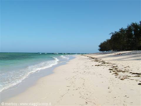 Malindi - marine park