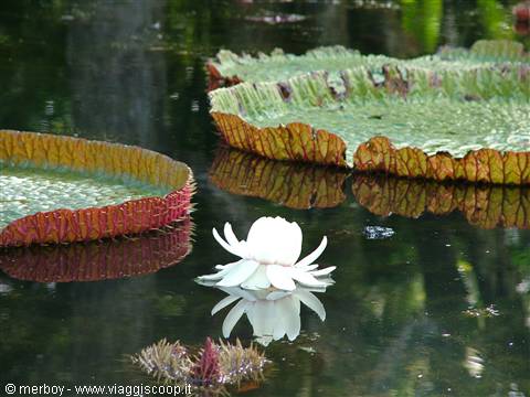Botanical Garden