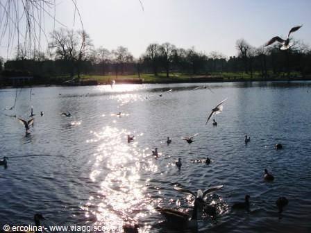 The Serpentine in Hyde Park