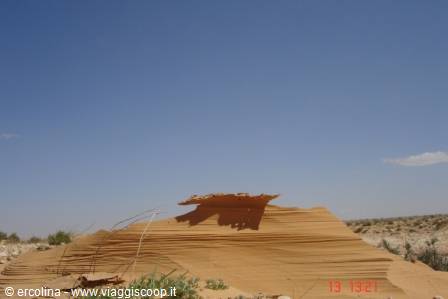 Track in the desert..