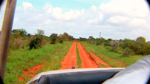 Tsavo East: typical red earth