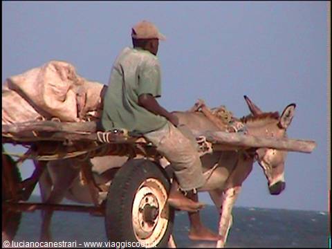Mambrui: transporting coal
