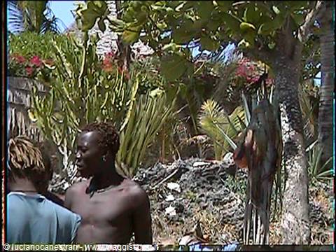 Watamu: fishermen