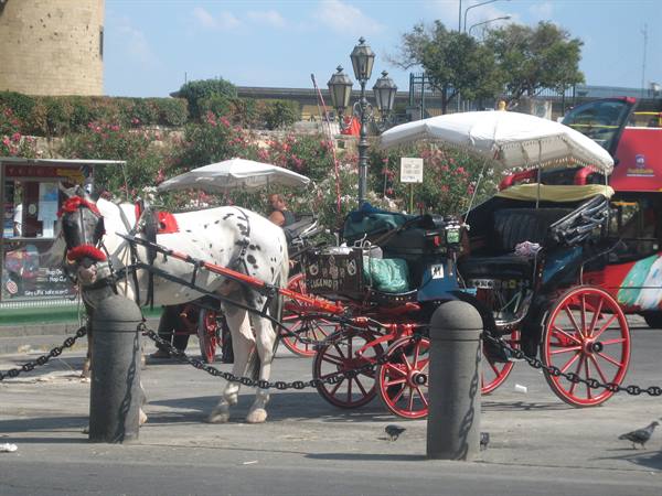 Typical carriage