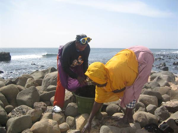 Women at work
