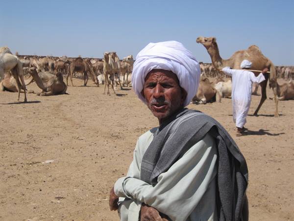Man in white turban at a camel market, sand and sunlight