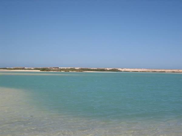 Turquoise lagoon with clear water, pale sand and green shrubs on the shore