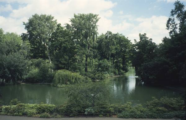 Green pond surrounded by weeping willow and dense trees in the park