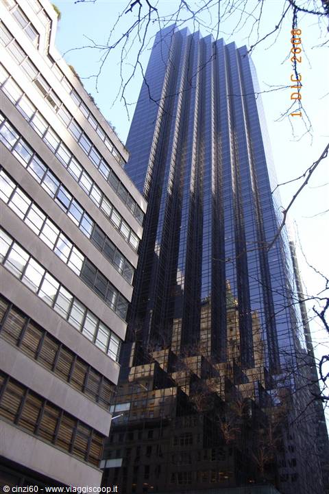 Dark glass skyscraper next to a brick building, bare branches in the foreground