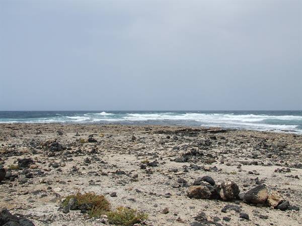 El Cotillo 10