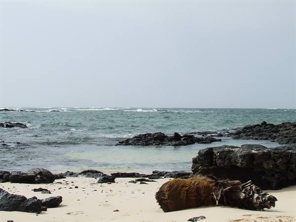 El Cotillo 12