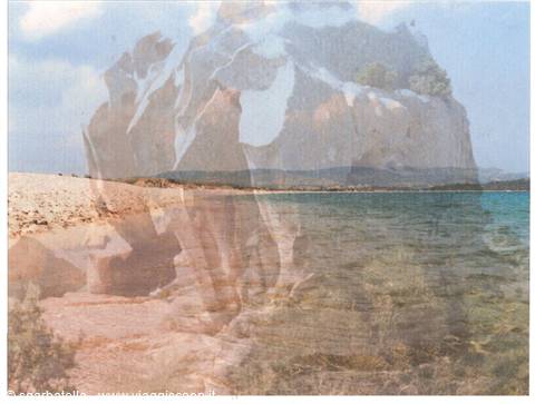 capod'orso in its sea