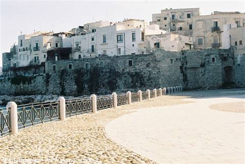 POSTCARD FROM VIESTE