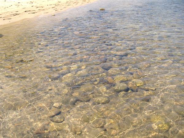 THE SEA OF LA PALOMBAGGIA