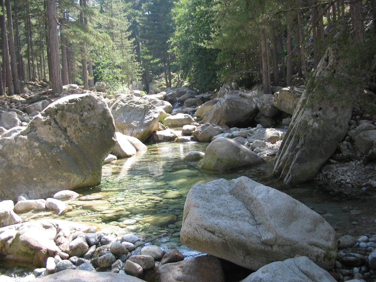 THE RESTONICA VALLEY