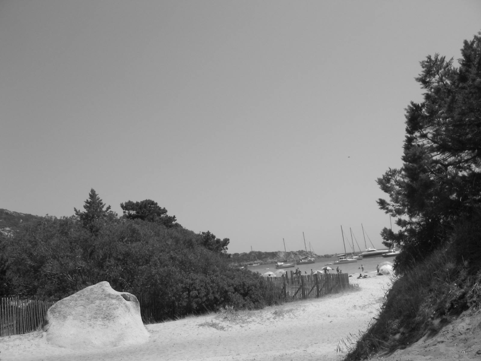 THE BEACH OF ROCCAPINA