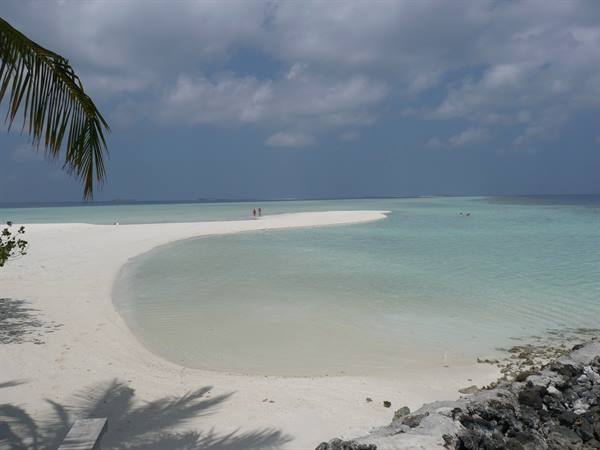 Palm over white sand beach, two people on the sandbar, turquoise water