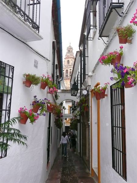 Narrow alley with flower pots on white walls, cathedral tower in Córdoba