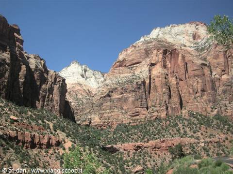 Zion NP