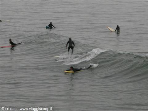 Surfers in wetsuits on yellow and red boards ride a grey wave