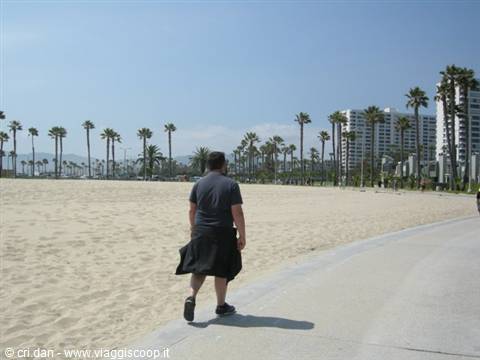 Man walking along Venice Beach bike path among palm trees and sand