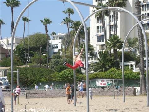 Woman swinging on aerial rings at Venice Beach among palms and sand