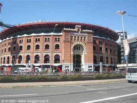 Arena